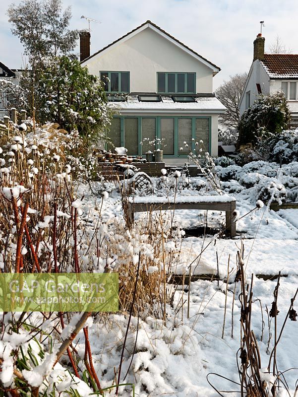 View to the house in a River Thames garden designed by Andy Sturgeon. Box topiary, grasses and architectural plants covered in snow.