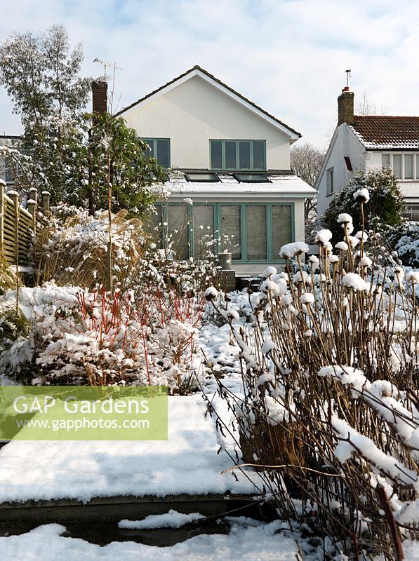 View to the house in a River Thames garden designed by Andy Sturgeon. Box topiary, grasses and architectural plants covered in snow.
