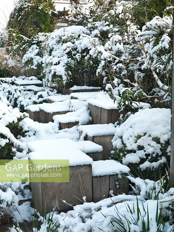 River Thames garden designed by Andy Sturgeon. Backbone of 53 English oak cubes. Box topiary, grasses and architectural plants covered in snow. 
