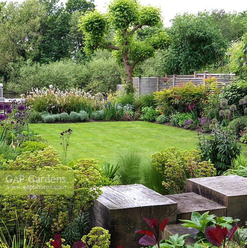 Riverside garden by Andy Sturgeon. Oak cubes pass euphorbia, allium, erysimum, Hebe vernicosa, box, iris, aquilegia. Far bed - libertia, iris, euphorbia, santolina. 