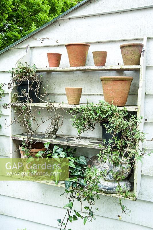 Exterior shelving display with terracotta pots, ivies and small stone owl. King John's Nursery, Etchingham, East Sussex, UK