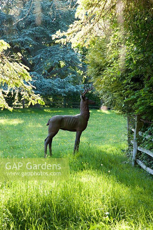 Metal sculpture of a young stag sited in buttercup filled meadow outside the garden. King John's Nursery, Etchingham, East Sussex, UK