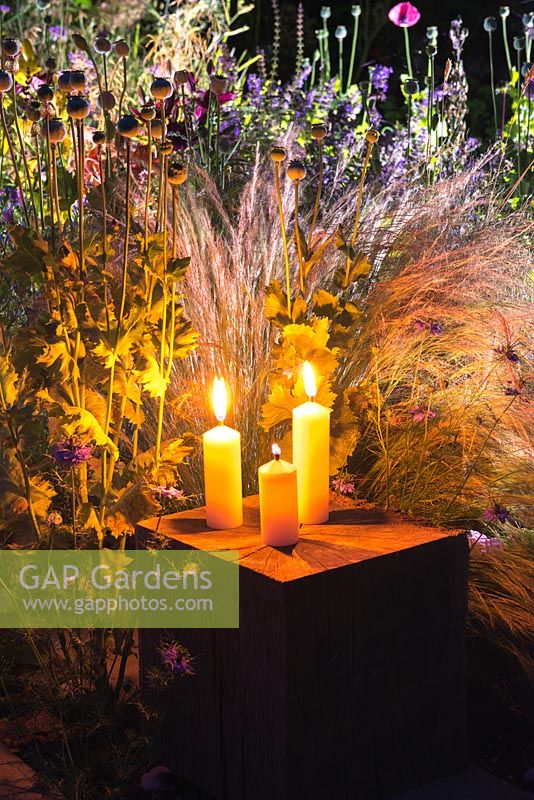 Candles and garden lighting illuminating a border at night, spotlighting Stipa tenuissima, annual poppies and love-in-the-mist.