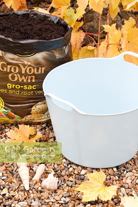 Planting Garlic 'Early Purple Wight' in a tub trug - Plastic tub trug, growing compost, dibber, bradle and garlic ready to plant out in autumn