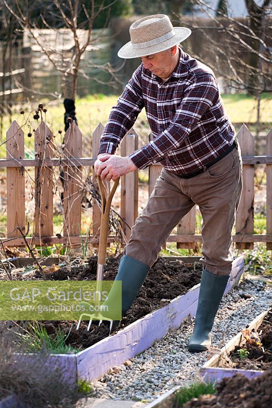 Early spring preparation of vegetable beds. Forking.