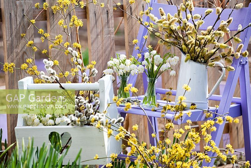 Outdoor spring display with snowflakes -Leucojum aestivum, catkins and dogwood.
