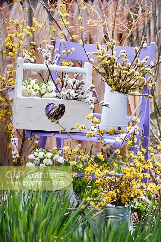 Outdoor spring display with snowflakes -Leucojum aestivum, catkins and dogwood.