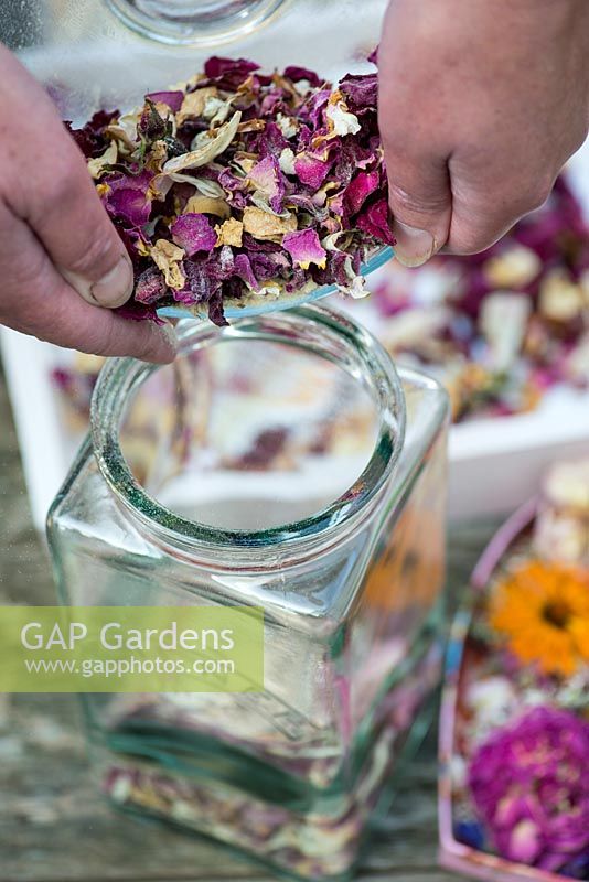 Making potpourri step by step. The mixture of fragranced orris root and the dried flowers and petals are then stored in an air tight glass jar.