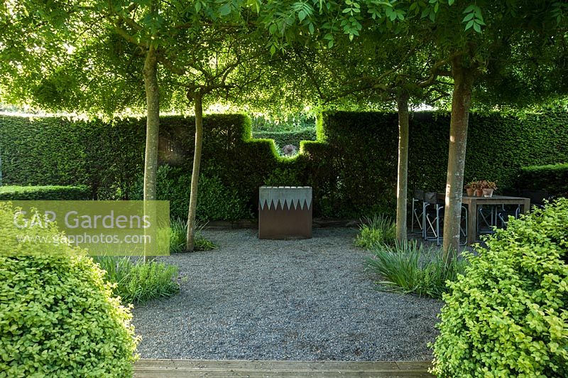Gravelled courtyard area with four weeping ash, Fraxinus excelsior 'Pendula' forming a shady canopy, steel and lead container, and a seating area surrounded by yew hedging. 