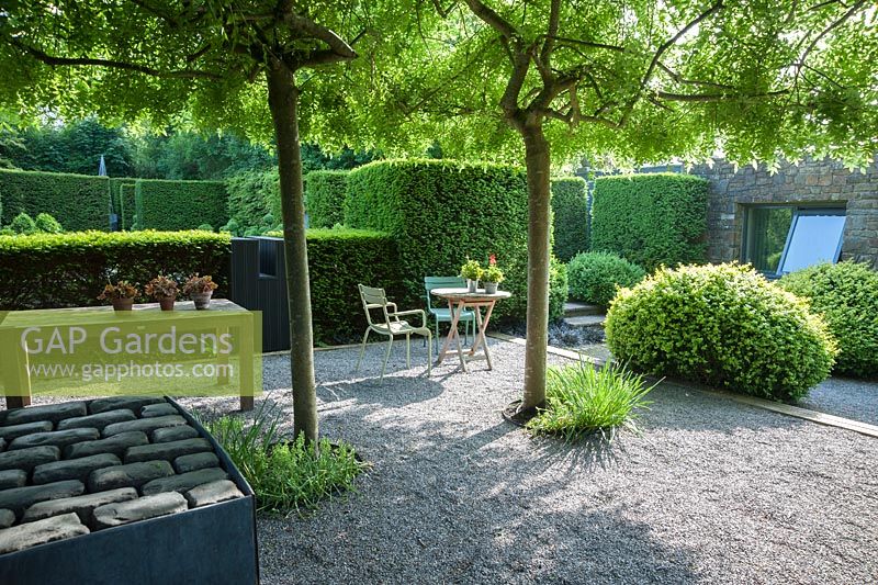 Gravel courtyard area with four weeping ash, Fraxinus excelsior 'Pendula' forming a shady canopy, steel and lead container, filled with an arrangement of stone setts and a seating area surrounded by yew hedging. 