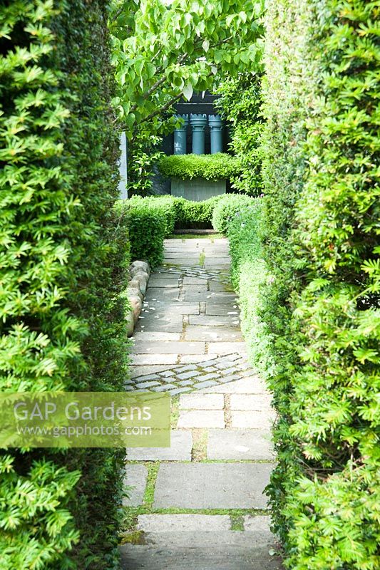 Path leads between yew hedges toward three grey painted chimney pots with a skirt of small leaved box, Buxus microphylla, in a steel container. 