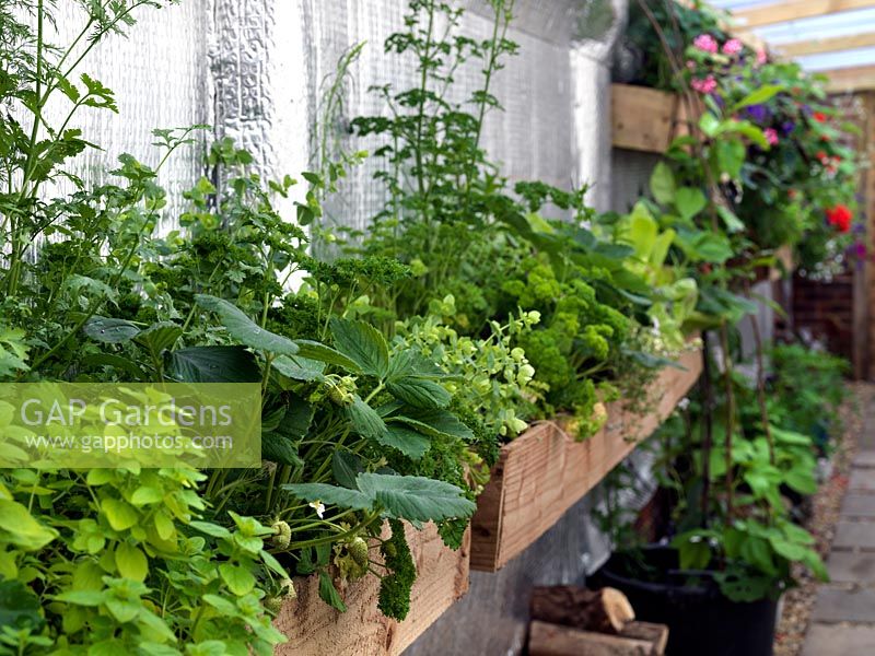 Covered side passage is planted with window boxes of herbs, strawberries and flowers. 