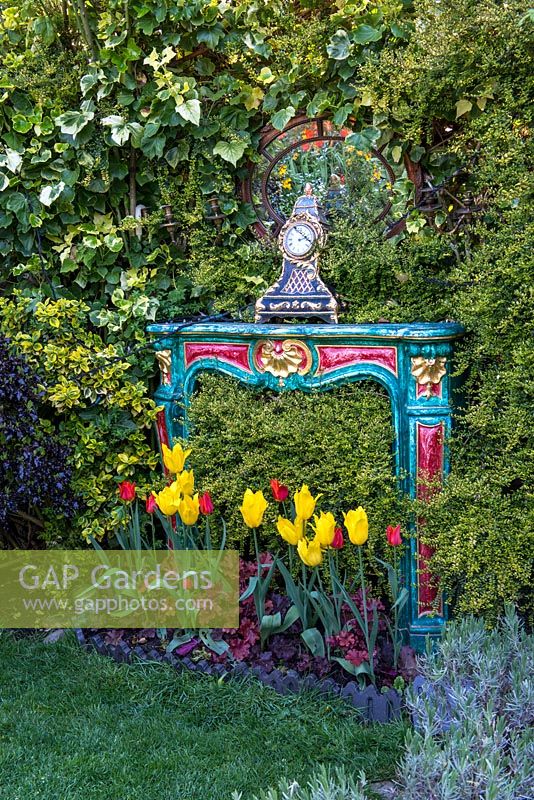 An old, painted fire surround mirror and clock set into evergreen hedge of ivy, lonicera and pittosporum, and planted with yellow Tulipa 'West Point' and red Tulipa 'Red Shine' and heuchera.