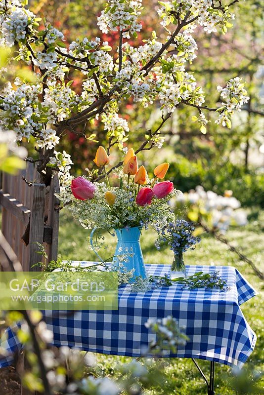 Floral arrangements with tulips, cow parsley and forget-me-nots. Flowering pear tree Pyrus communis 'Williams'.