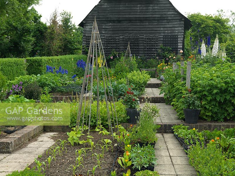 Terraced kitchen garden with beds of vegetables.