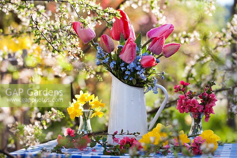 Floral arrangements of tulips, forget-me-nots, daffodils and Japanese quince.