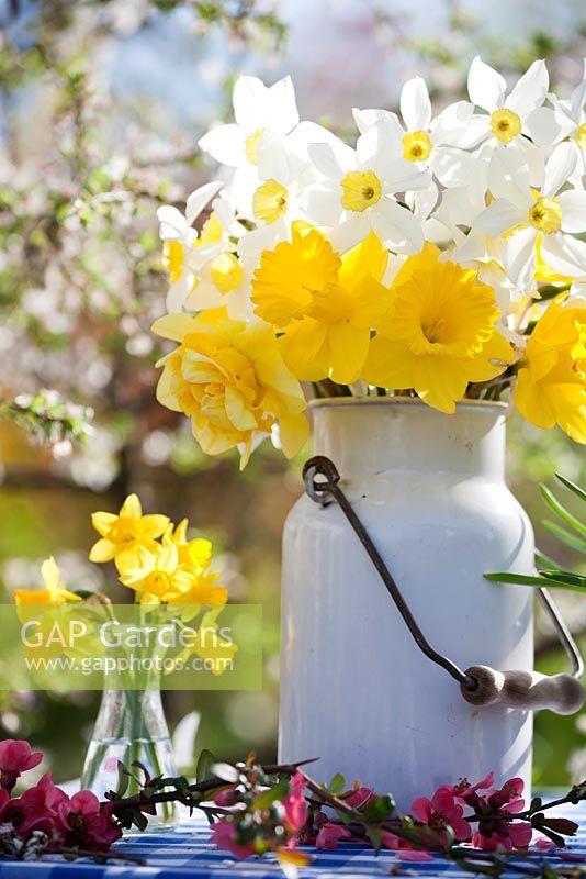 Floral arrangement of daffodils.