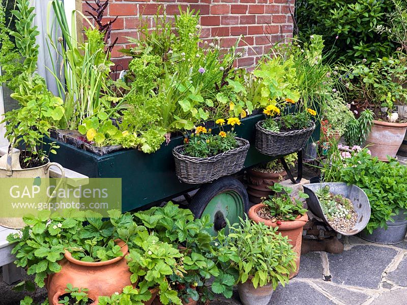 A patio with strawberry planter and containers made from salvaged objects including a trolley cart filled with herbs, marigolds in baskets and succulents on scales. 