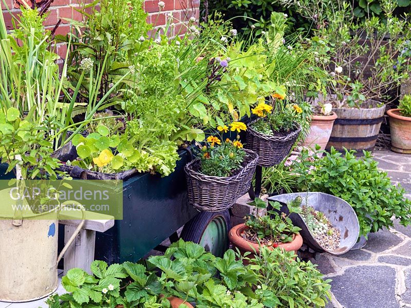 A patio with containers made from salvaged objects including a trolley filled with herbs, marigolds in baskets and succulents in a scales scoop.