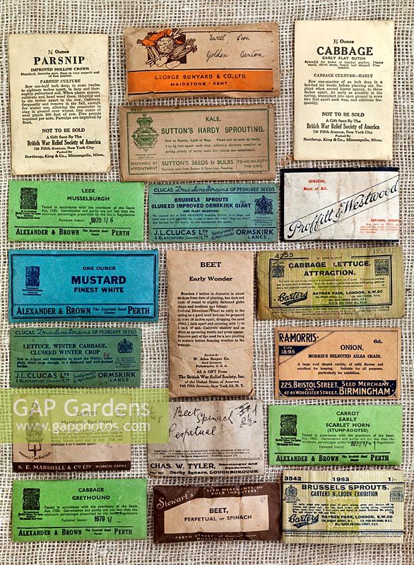 The Heritage Seed Library is the home to many old packets of seed, some dating back as far as Victorian times, which have been donated by gardeners up and down the country.
