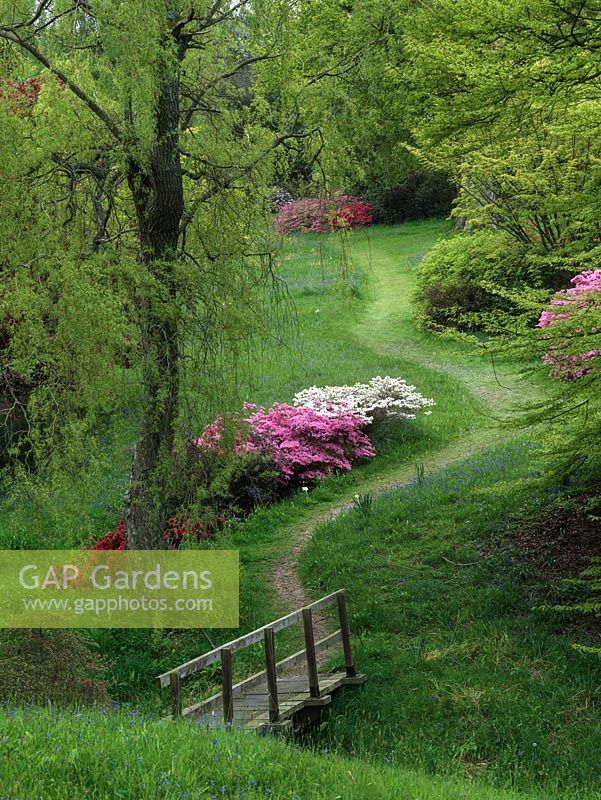 This century old woodland garden fills a tranquil valley. In spring, it is noted for its rhododendrons and acers. High Beeches