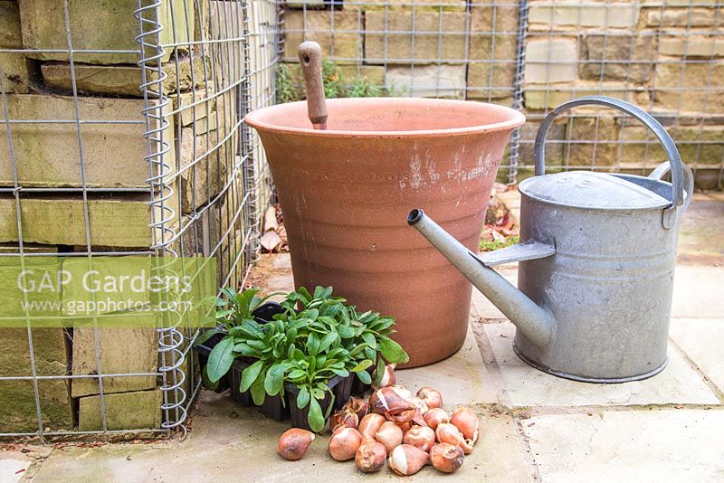 Materials required for planting up Spring container.