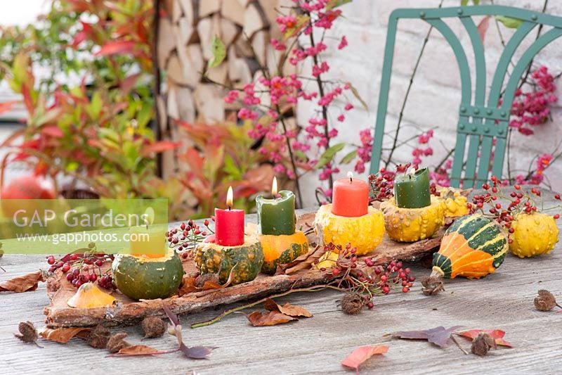 Pumpkin table setting with candles.  Cucurbita - hollowed out as a candle holder on bark, decorated with rose hip, autumn leaves and beechnuts cases