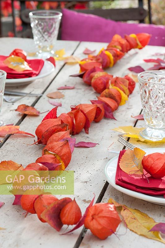 Table decorated with Physalis fruits
