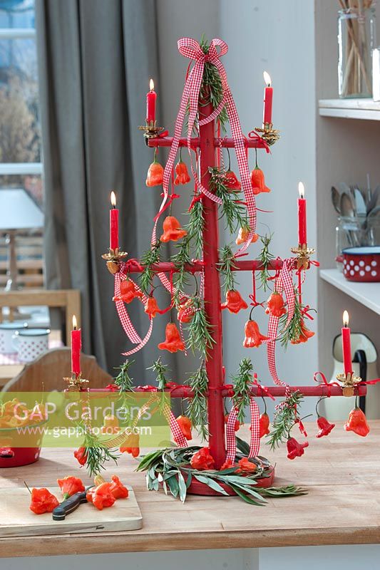 Wooden frame as a stylized Christmas tree, decorated with chilli bell peppers, rosemary, lighted red candles, ribbons and branches of olive, on countertop