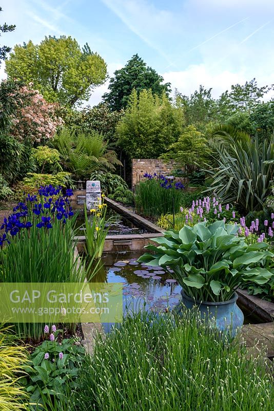 View along the pool, over lavender, potted hosta, Iris sibirica Caesar's Brother, Hakonechloa macra and pink Persicaria bistorta Superba and male ferns. Left border - photinia. Right border - phormium, Chusan Palm and maple. Pond sculpture by Peter Hayes.