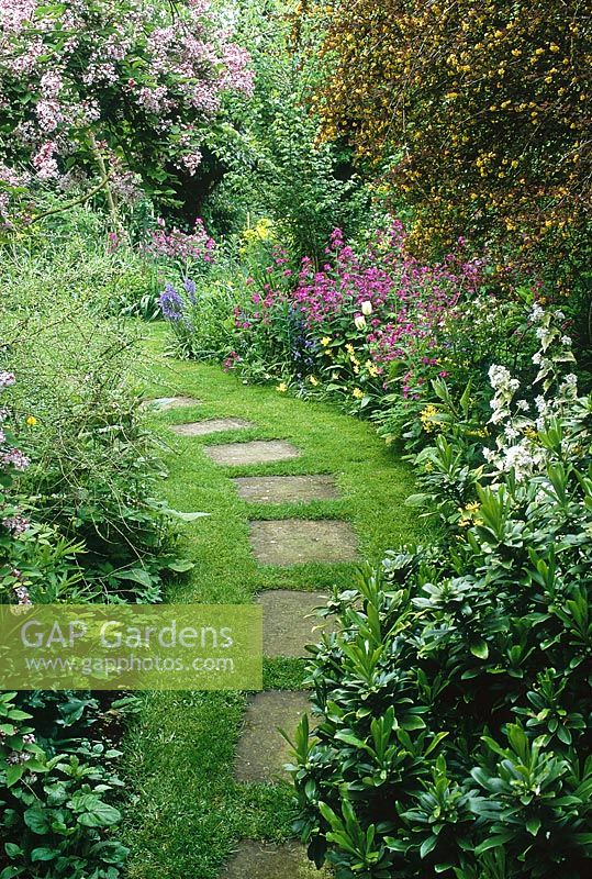 Stepping stones in grass path with mixed border