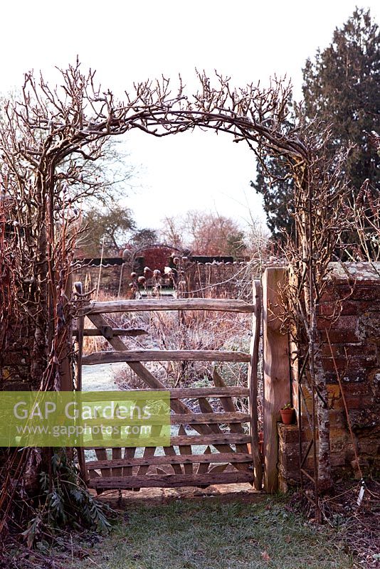 Pyrus arch with a view to the kitchen garden. Rustic gate