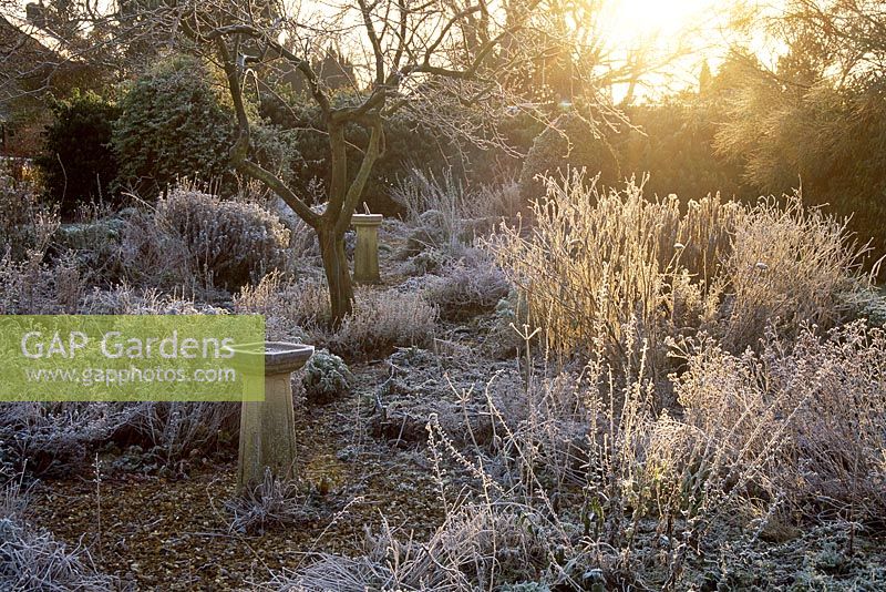 Frosted winter garden with sundial and bird bath, frosted stems of perennials and shrubs, January 
