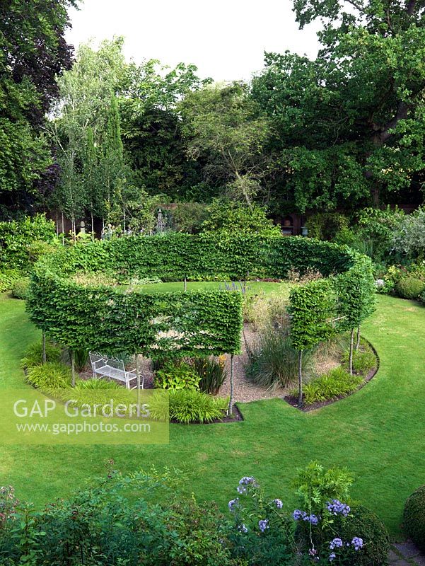 A round gravel garden cut out of a sunny lawn, encircled by a pleached hornbeam hedge. Summer.