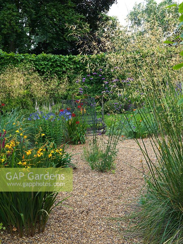 A gravel garden planted with Verbena bonariensis, Crocosmia 'Gerbe D'Or', Agapanthus africanus and Stipa gigantea 'Gold Fontaene'