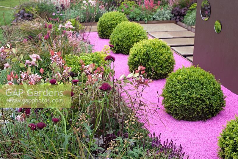 Blush, Malvern Spring Gardening Show 2014, an urban retreat using a colour scheme of browns, pinks and purple and a recurring spherical theme, with topiary balls on pink gravel - Designer: Pip Probert - Sponsors: Digby Stone, and David Harber 