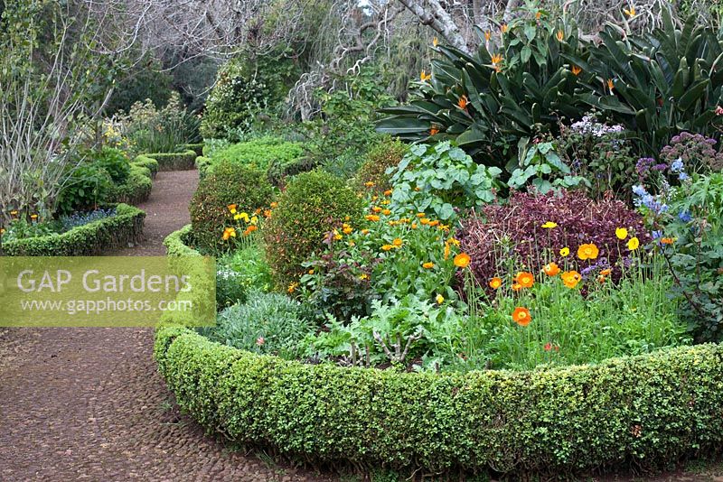 Curved borders and paths in Palheiro's Garden, or Blandy's Garden, Funchal, Madeira