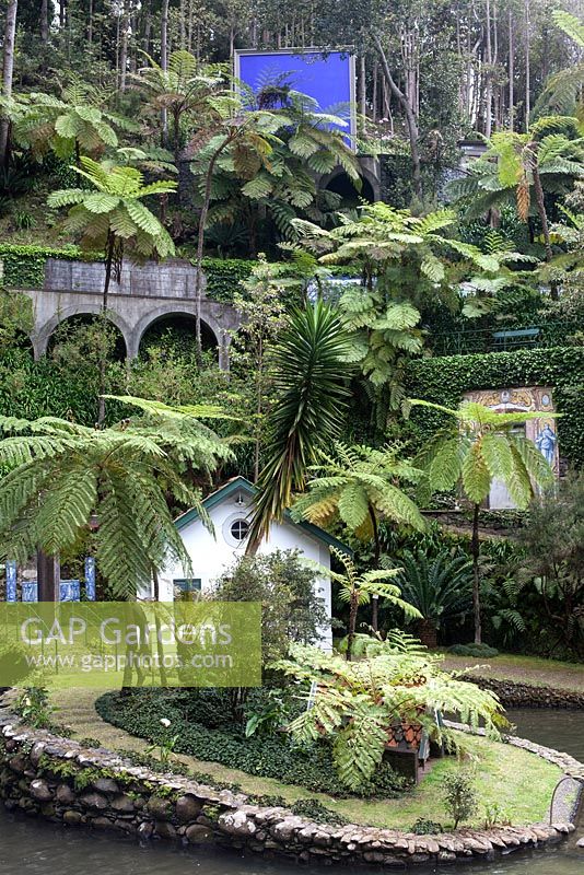 The lush vegetation fringing the Central Lake at Monte Palace Tropical Garden, Madeira, with tree ferns, and tiled panels