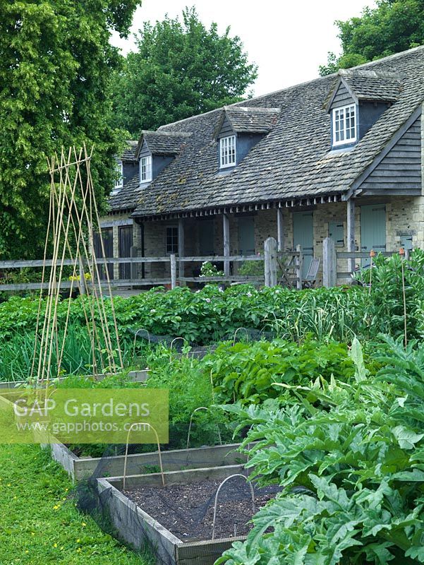 Raised vegetable beds in a productive country cottage garden.