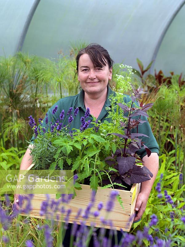 Anne Marie Owens, head gardener at Le Manoir, with a box of fresh herbs and flowers grown in the kitchen garden.