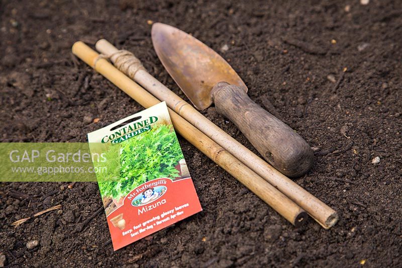 Materials required for sowing Mizuna