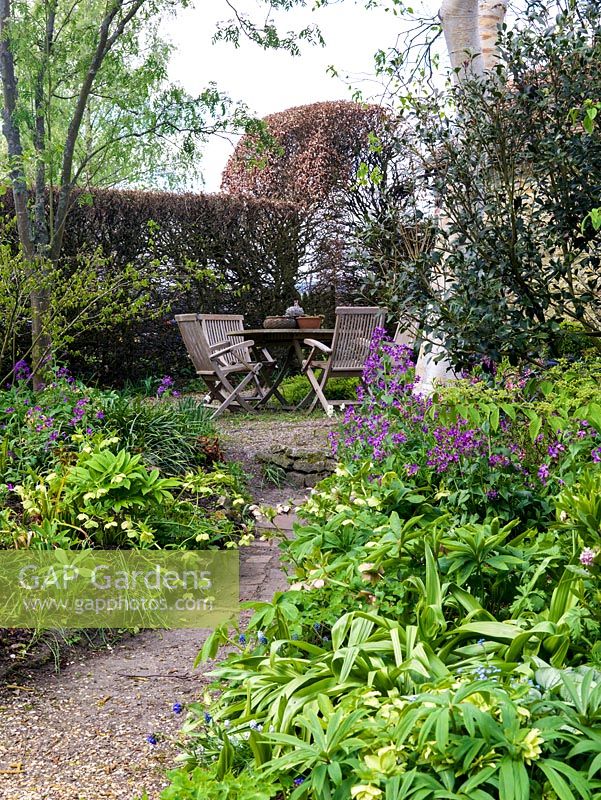 A secluded seating area in a woodland garden, surrounding planting includes hellebores, Lunaria, Pulmonaria and ferns.