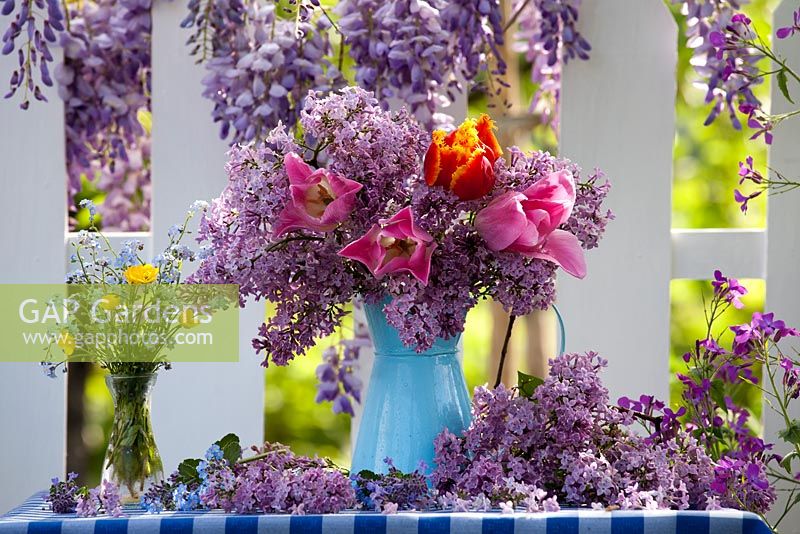 Outdoor spring display. Flowering Wisteria. Jug of tulips and syringa. Forget me nots and buttercups in a vase.