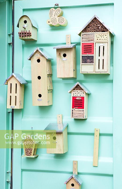 Several birdhouses hanging at the door of the bright green container.