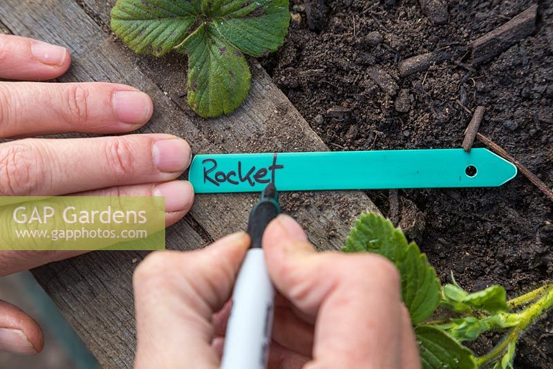 Writing a plant label for rocket