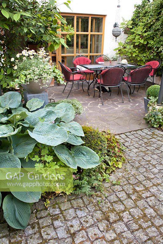 Relaxing area on a patio. Summer borders of Hosta, Rose, Heuchera, Viburnum, box topiary, Hedera.
