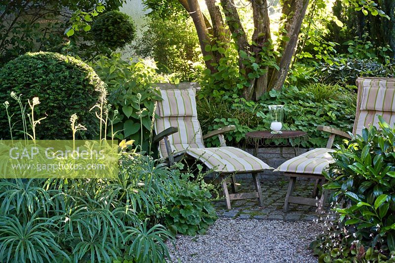 Relaxing area in shady garden.