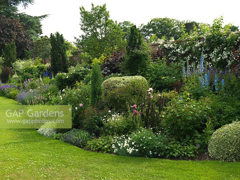 Herbaceous border in summer 
