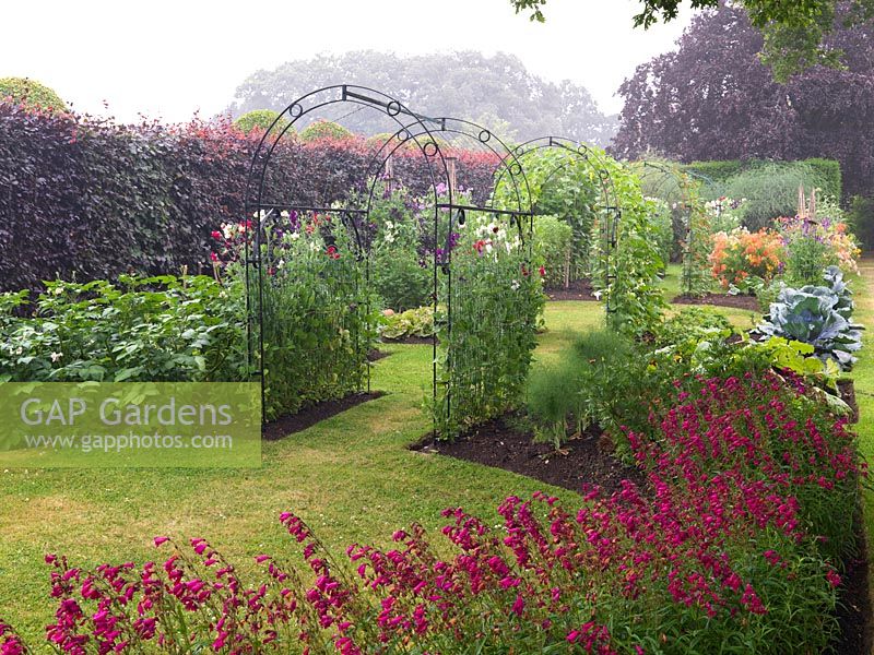Potager. Metal tunnels, clad in sweet peas or runner beans, run down the centre of a formal scheme of beds filled with vegetables and flowers. Obelisks of sweet peas.