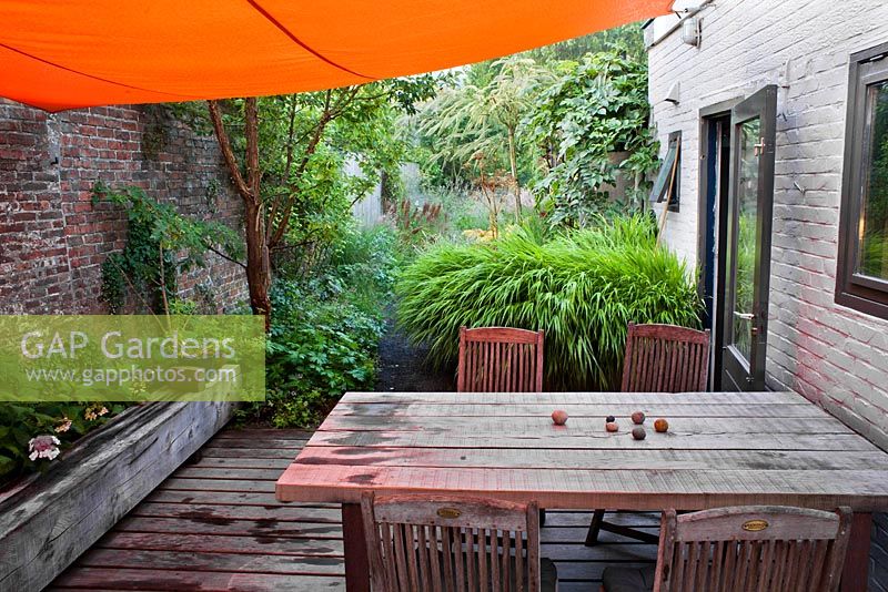 Decked patio with canopy and furniture. Acer griseum, Hydrangea serrata 'Blue Bird', Hakonechloa macra. 